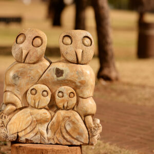 Nesting birds